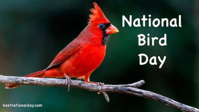 National Bird Day 2024