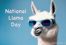 National Llama Day 2024