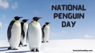 National Penguin Day 2024