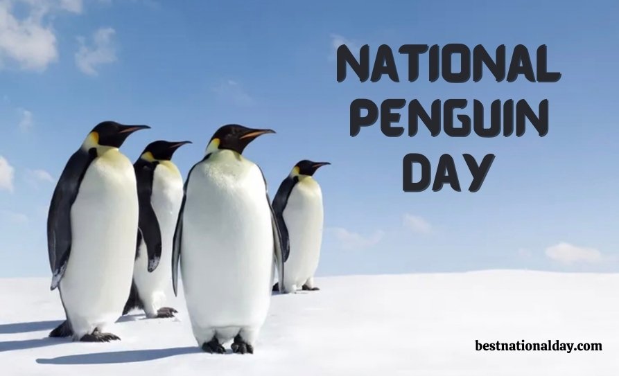 National Penguin Day 2024