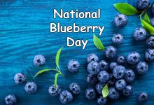 National Blueberry Day 2025