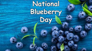 National Blueberry Day 2025