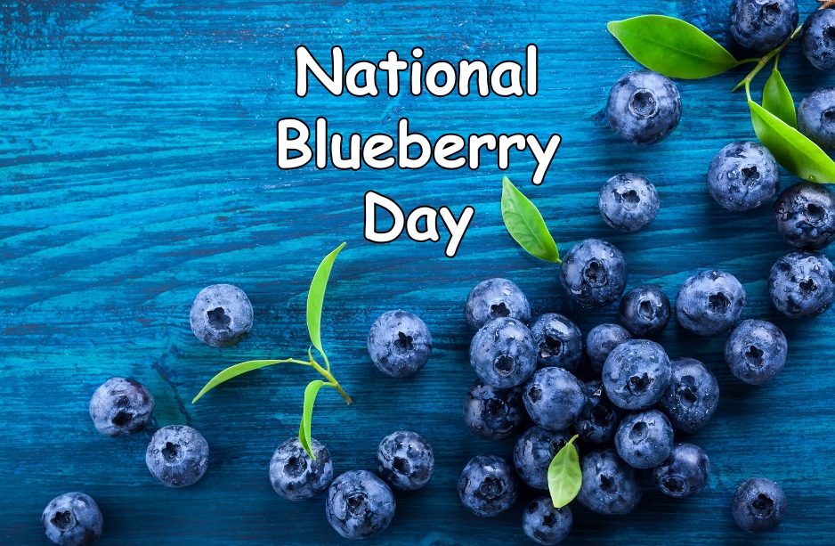 National Blueberry Day 2025 