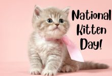 National Kitten Day 2025